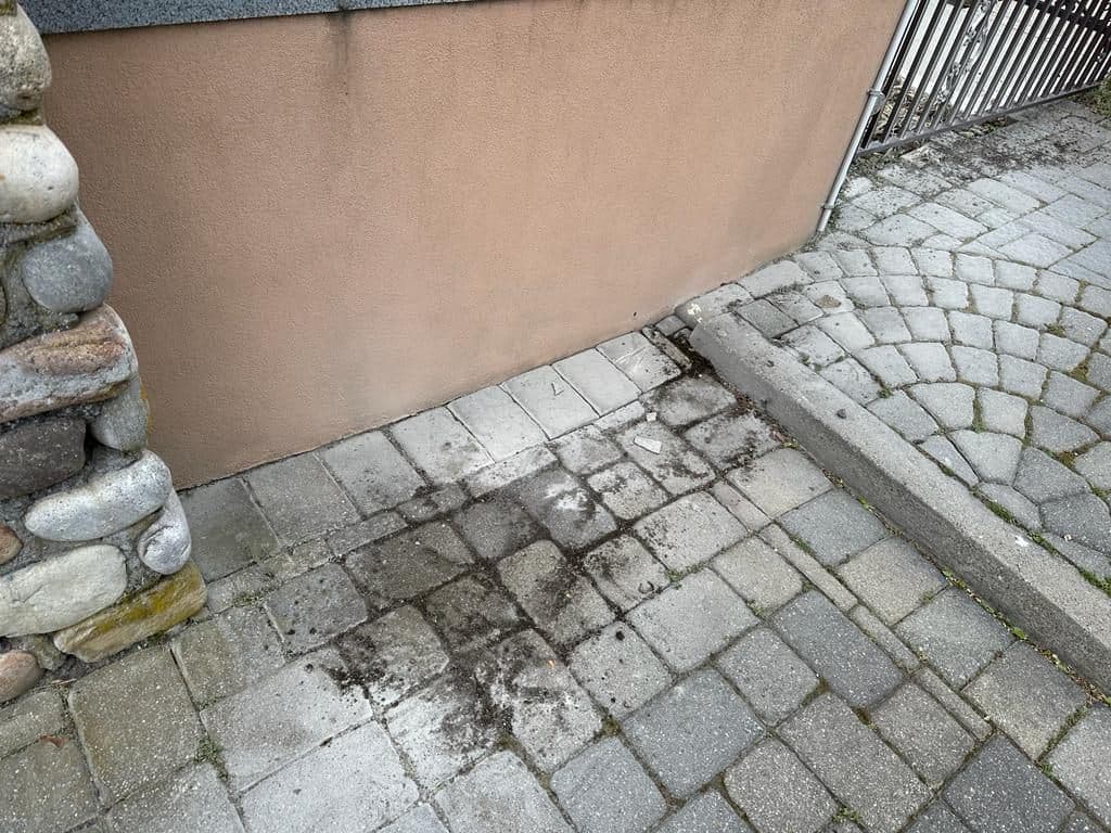 Stained, mossy pavers along the house wall